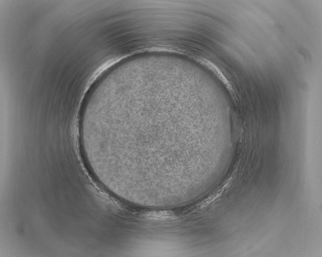 X0000115651133200912081119