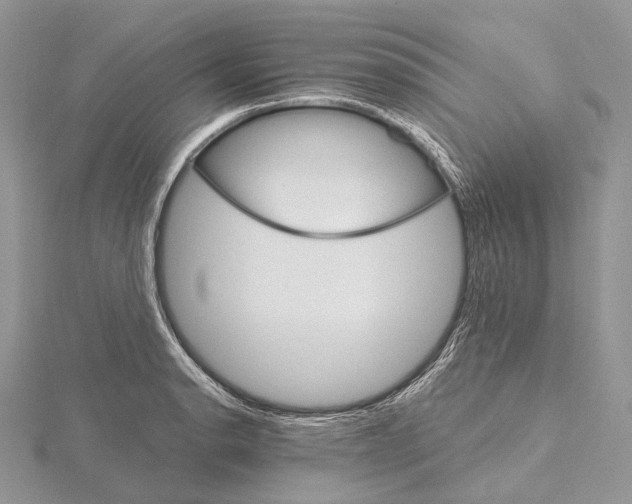 X0000115651134200912081119