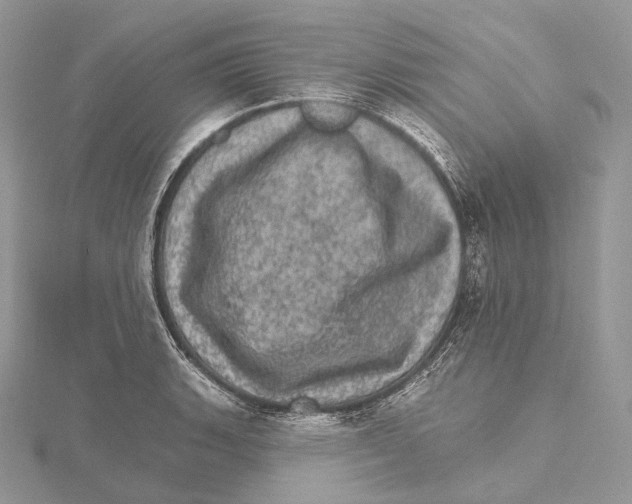 X0000115651135200912081119