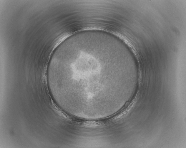 X0000115651137200912081119