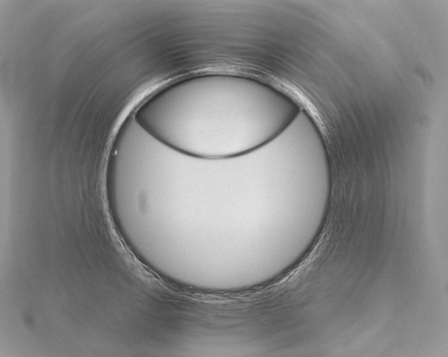 X0000115651138200912081119