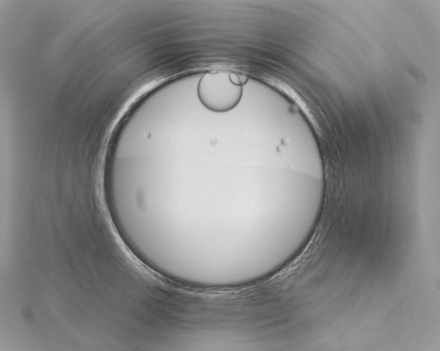 X0000115651139200912081119