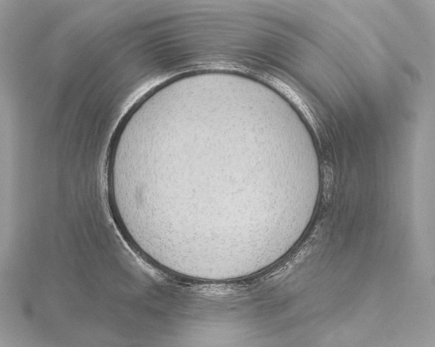 X0000115651141200912081119