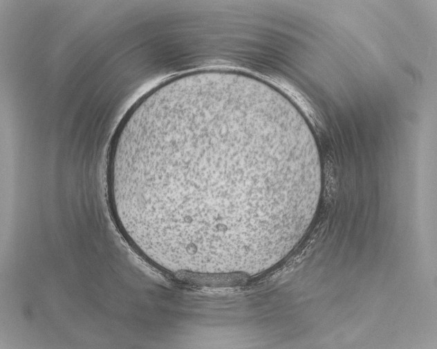 X0000115651142200912081119