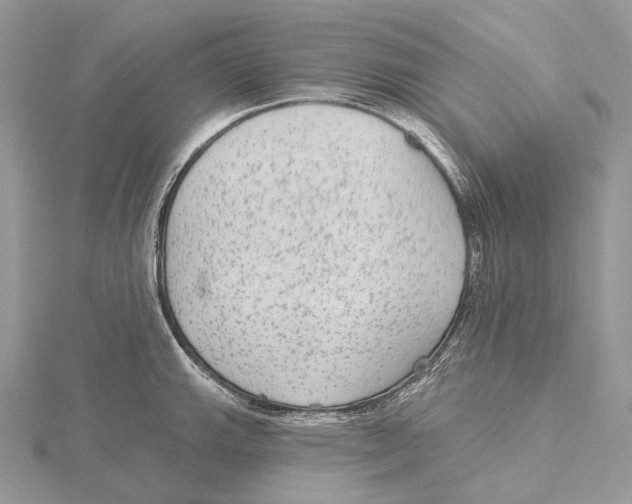 X0000115651143200912081119