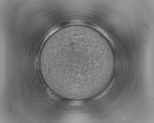 X0000115651145200912081119