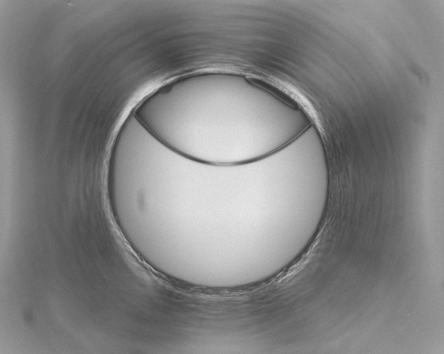 X0000115651146200912081119