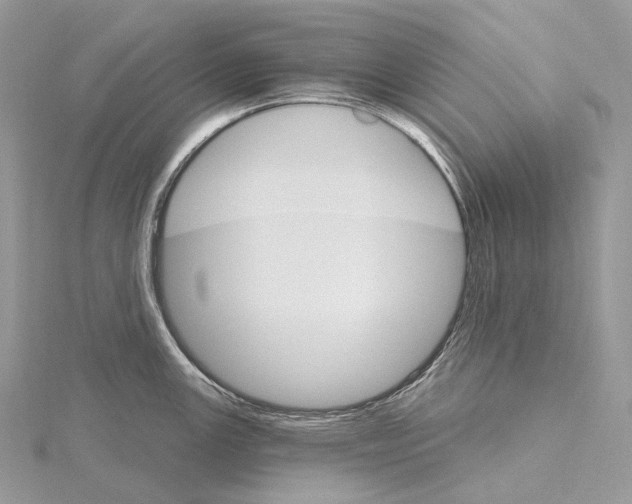 X0000115651147200912081119