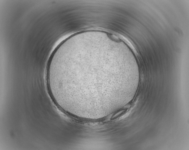 X0000115651149200912081119