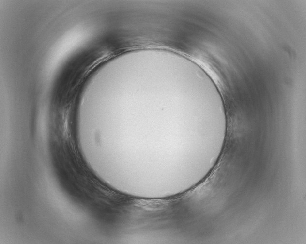 X0000115651150200912081120