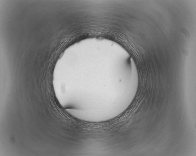 X0000115651153200912081119