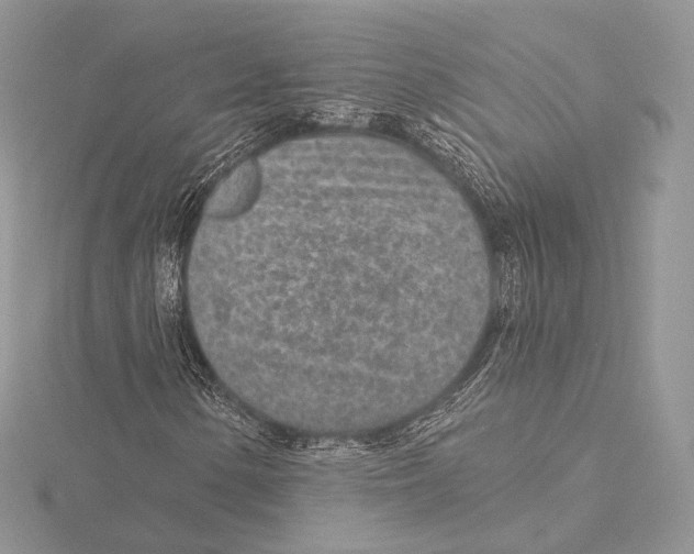 X0000115651154200912081119