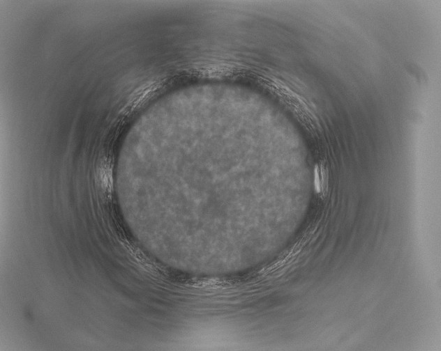 X0000115651155200912081119