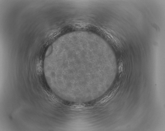 X0000115651156200912081119