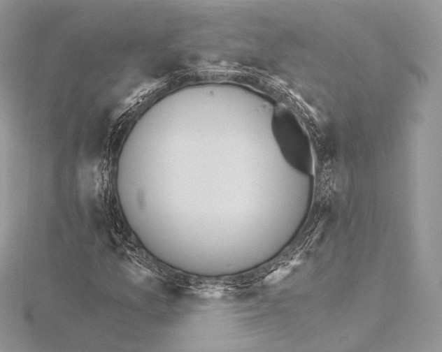 X0000115651157200912081119