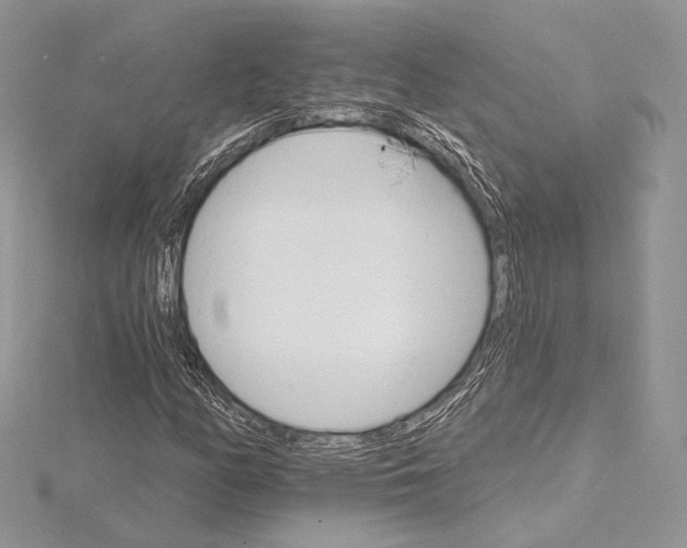 X0000115651158200912081119