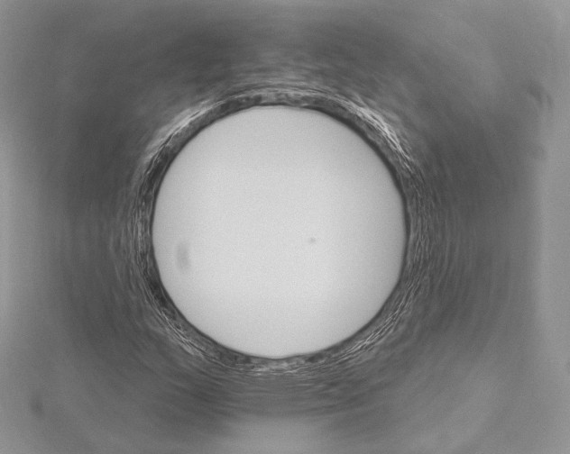 X0000115651159200912081119