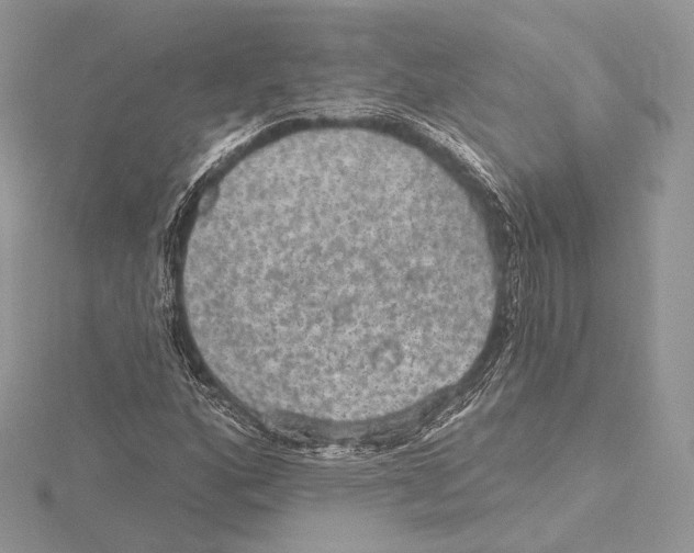 X0000115651160200912081119