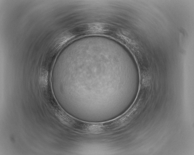 X0000115651161200912081119