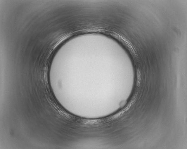 X0000115651162200912081119