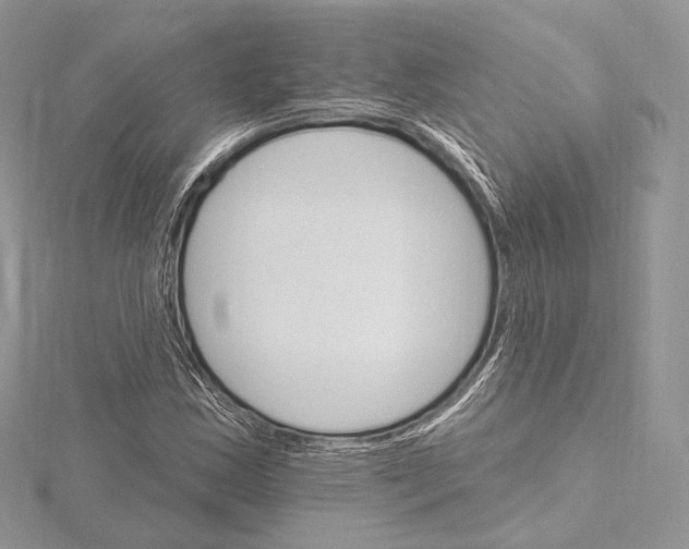 X0000115651163200912081119