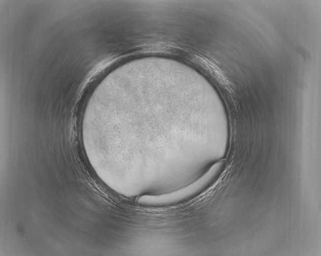 X0000115651164200912081119