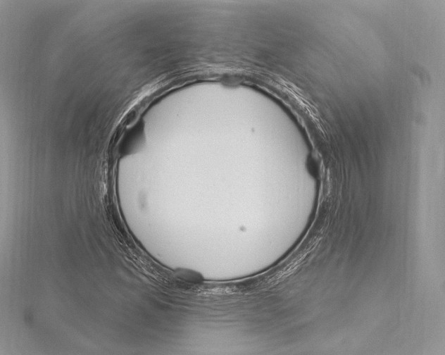 X0000115651165200912081119