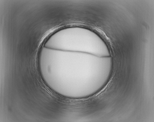 X0000115651167200912081119