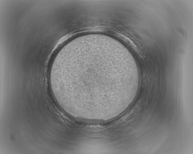 X0000115651168200912081119