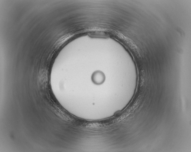 X0000115651169200912081119