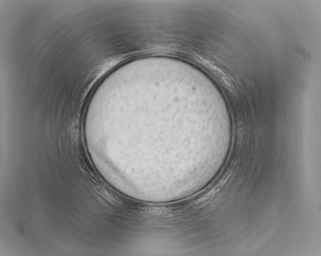 X0000115651170200912081119