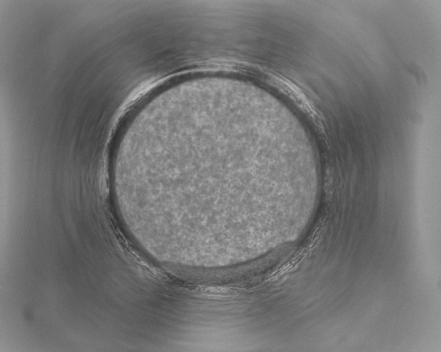 X0000115651172200912081119