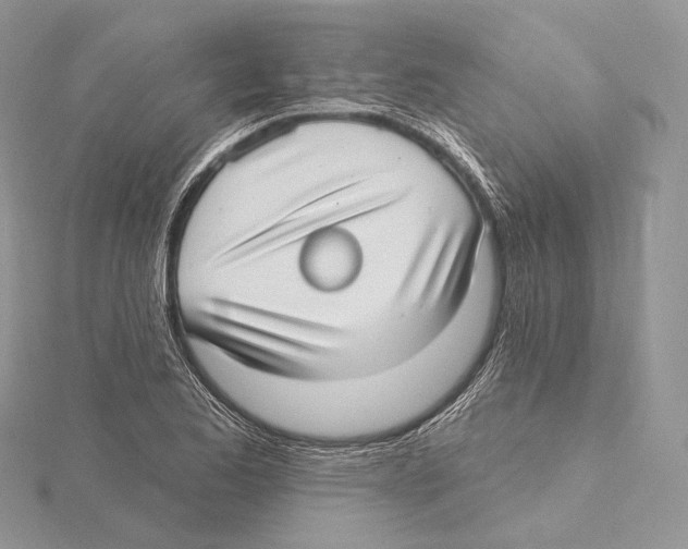 X0000115651173200912081119