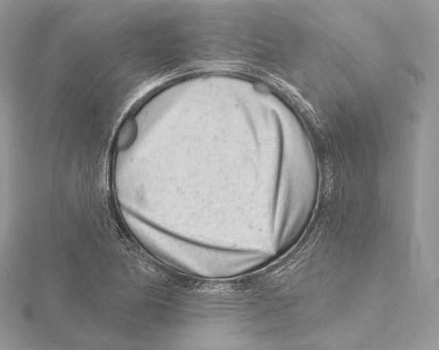 X0000115651174200912081119