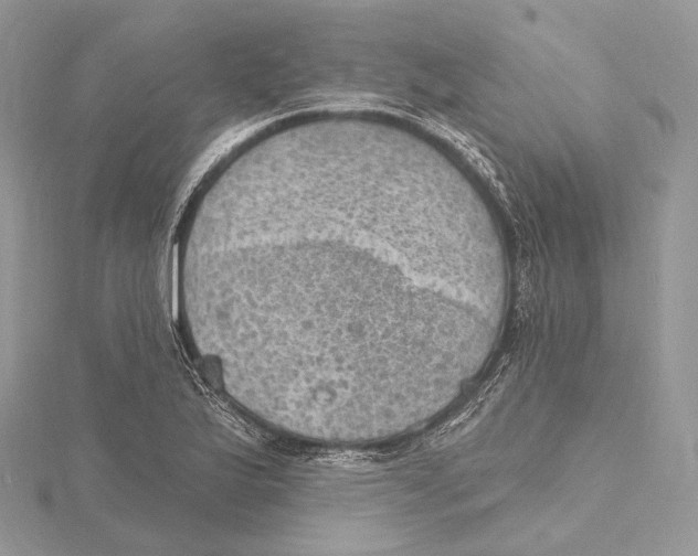 X0000115651175200912081119