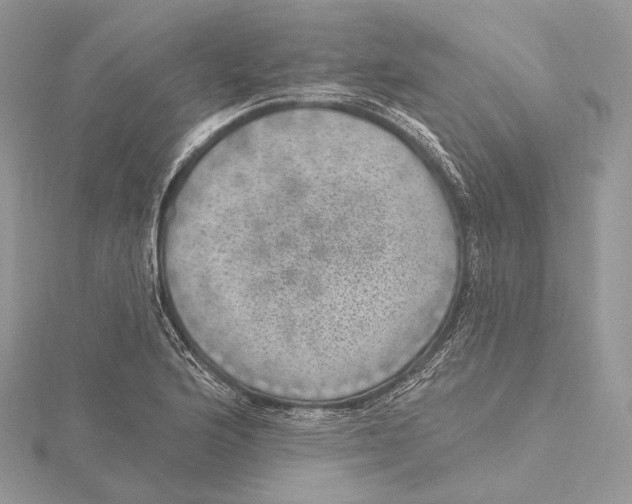 X0000115651176200912081119