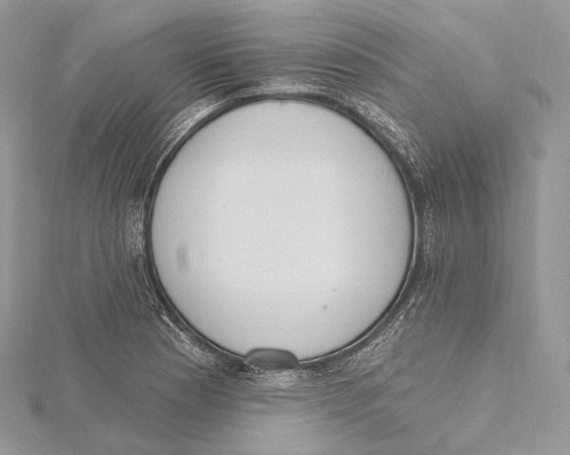 X0000115651177200912081119