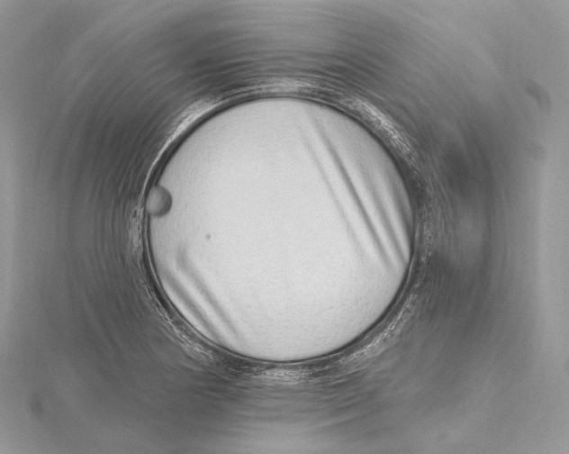 X0000115651178200912081119