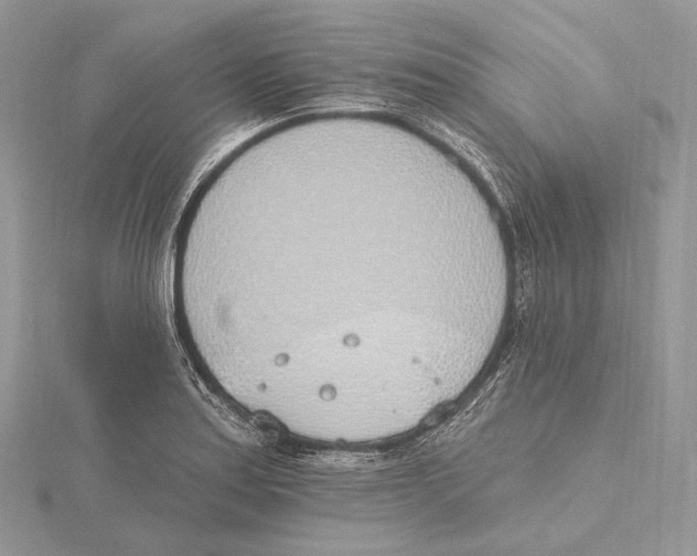 X0000115651179200912081119