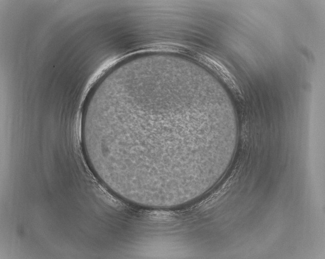 X0000115651180200912081119