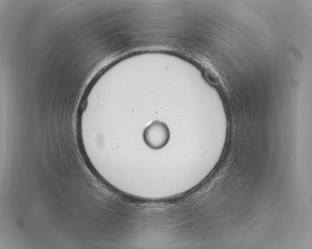 X0000115651181200912081119