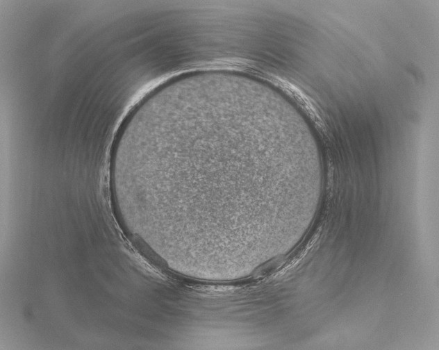 X0000115651184200912081119