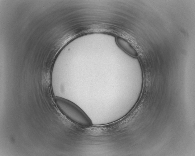 X0000115651185200912081119