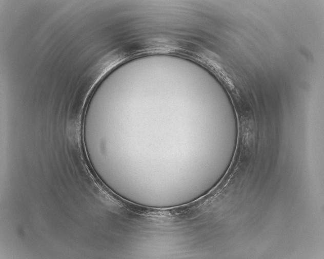 X0000115651186200912081118