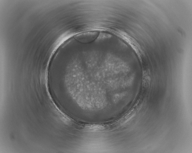 X0000115651187200912081118