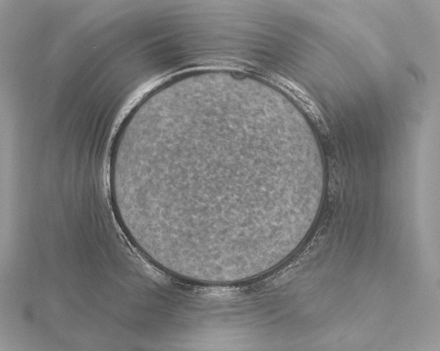 X0000115651188200912081118