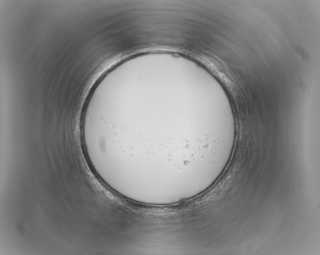 X0000115651189200912081118