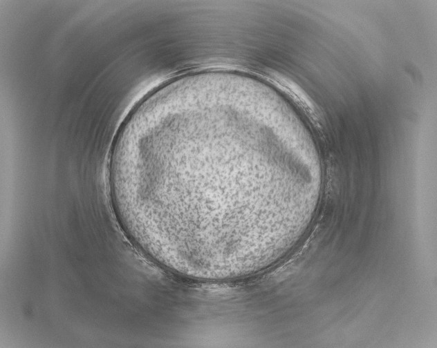 X0000115651190200912081118