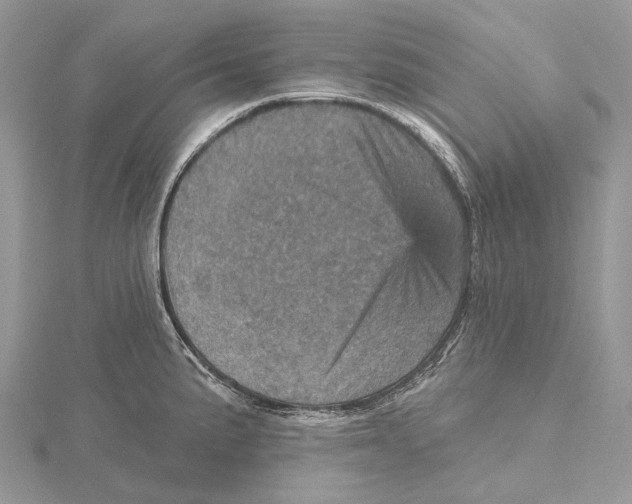 X0000115651191200912081118