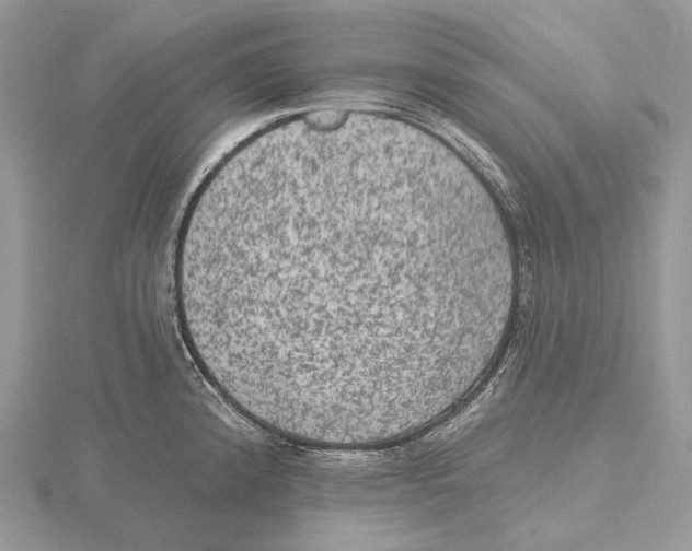 X0000115651192200912081118